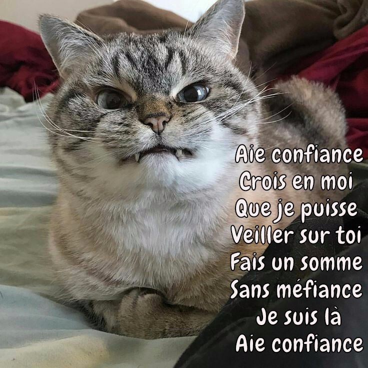
               Meilleures images droles  scène d'hypnose 
              