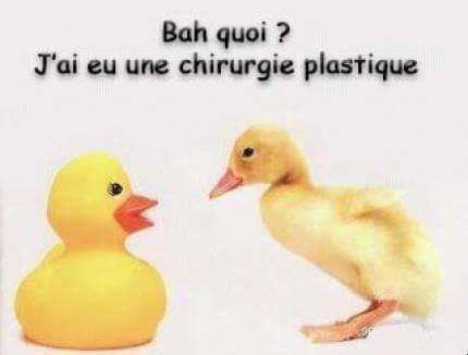 
               Meilleures images drôles  Tout le monde y a droit quand même 
              