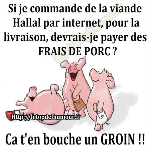 
               Meilleures images droles  franco de porc... 
              