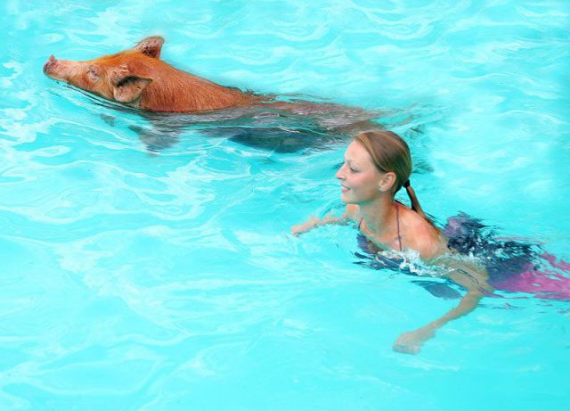 Image drole  baignade en couple 