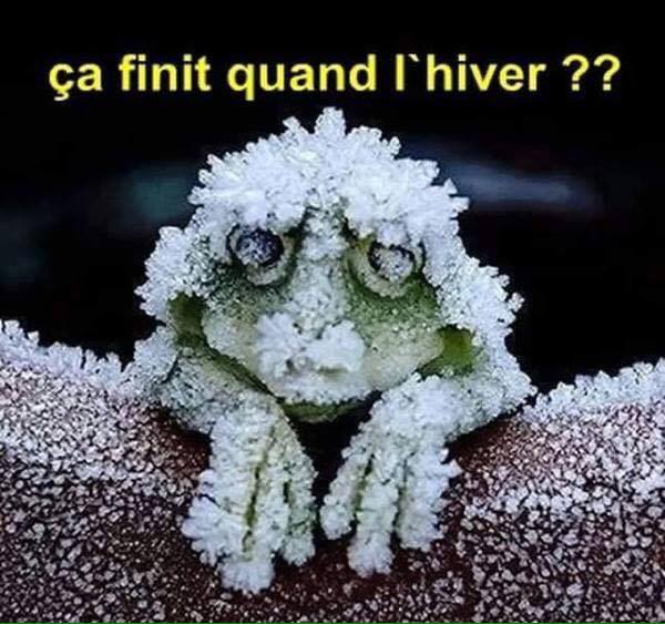 
               Meilleures images drôles  L'hiver c'est le 21 décembre. 
              