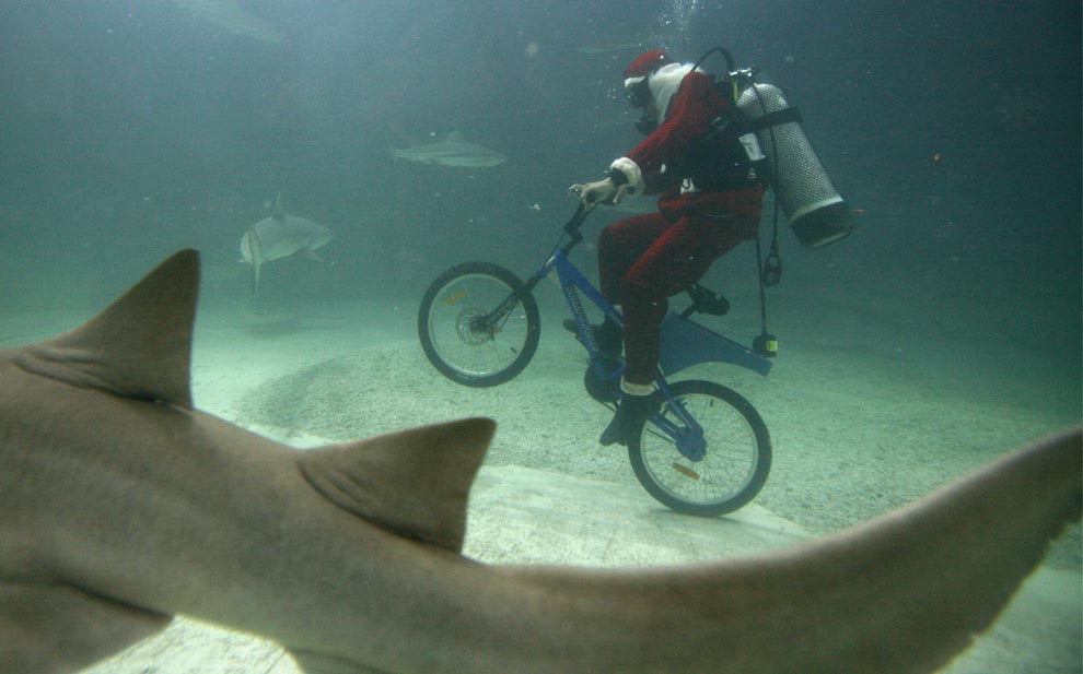 
               Meilleure photo blague  Le vélo, l'appareil des temps ! 
              