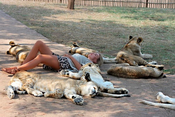 
               Meilleures image drole  une sieste sans risques 
              