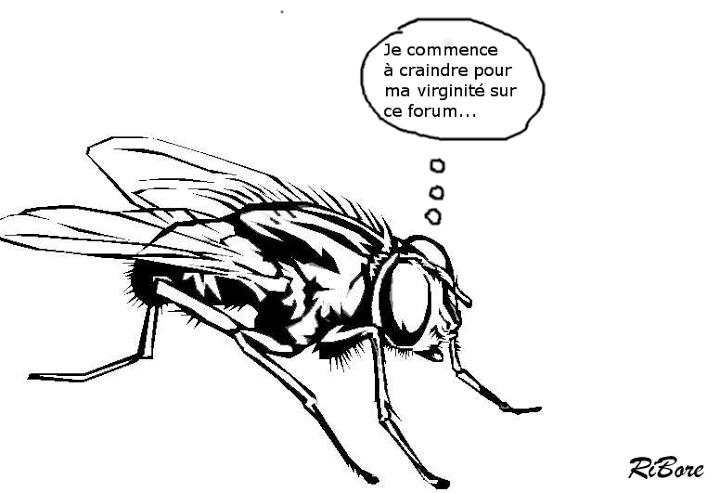 
               Meilleures images droles  Pensée du jour 
              