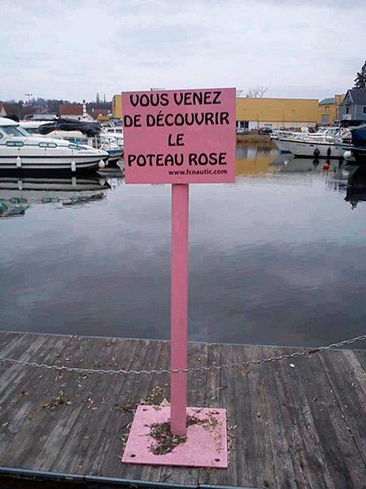  Image plaisante  ne pas tomber dessus pour voir la vie en rose , photo blague
              