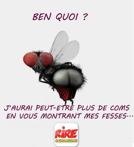 
               Meilleures image drole  rien a rajouter 
              
