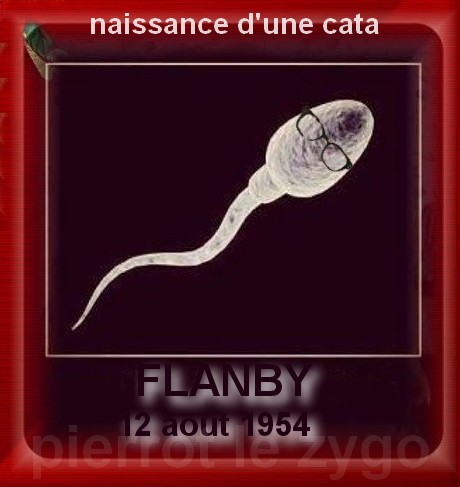 
               Meilleures images droles  et oui! 
              