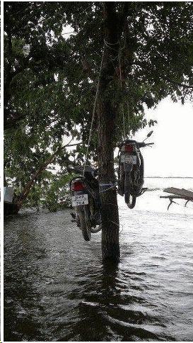 
               Meilleures image drole  Comment protéger ses motos des inondations 
              