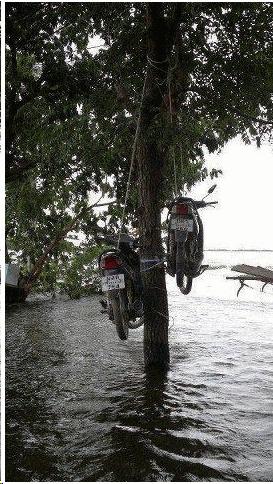  Image drôle  Comment protéger ses motos des inondations 
              