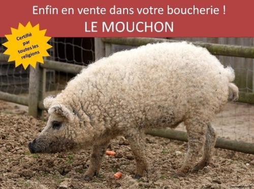 
               Meilleures image drole  ne pas hésitez en vente partout 
              