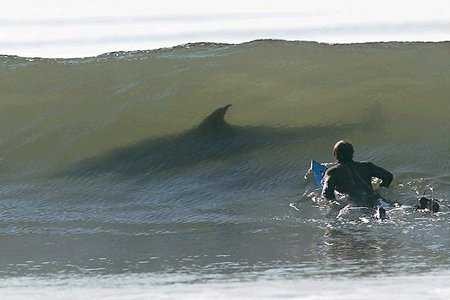 
               Meilleure photo blague  Ho-ho 
              