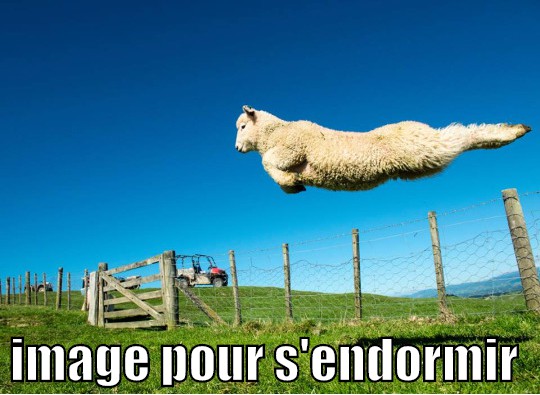 
               Meilleures images droles  on peut compter avec 
              