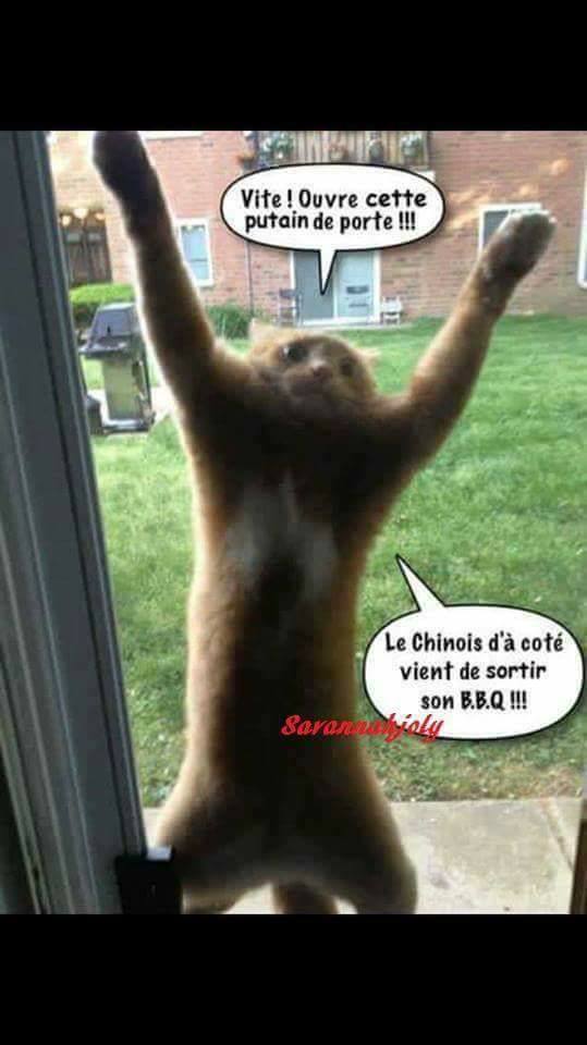 
               Meilleures image drole  Dépêche-toi 
              
