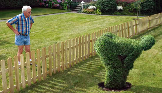
               Meilleure image drole  Hey Voisin !! 
              