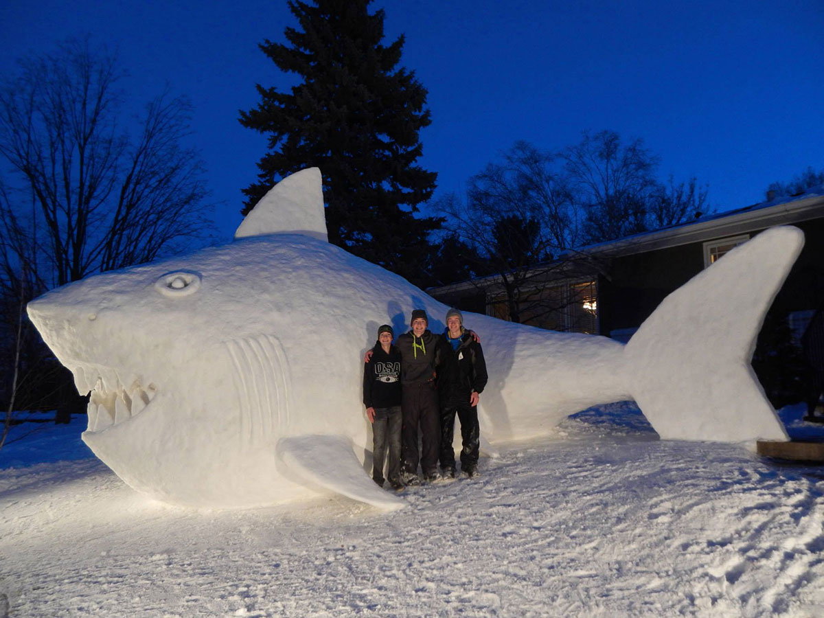  Image curieuse  Les dents de la neige , photo blague
              