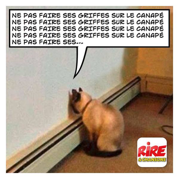 
               Meilleures images drôles  Punition ! 
              