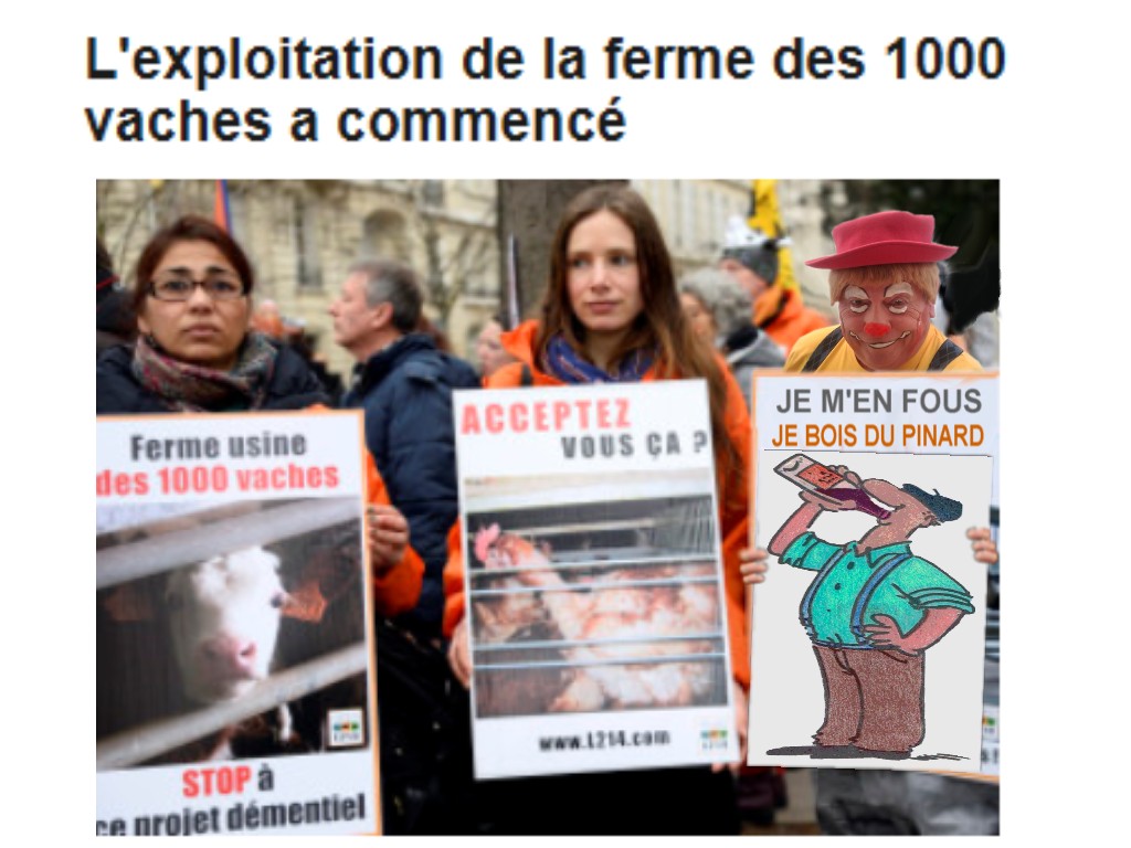 
               Meilleures image drole  MORT AUX VACHES 
              