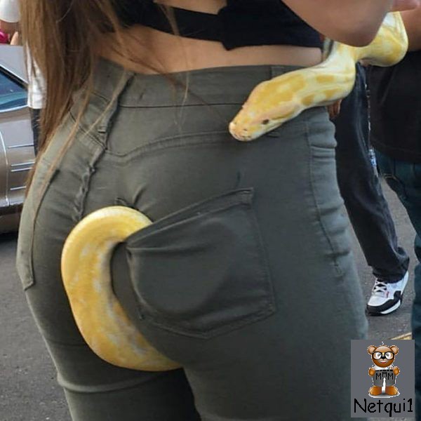 
               Meilleures images drôles  Protection ! 
              