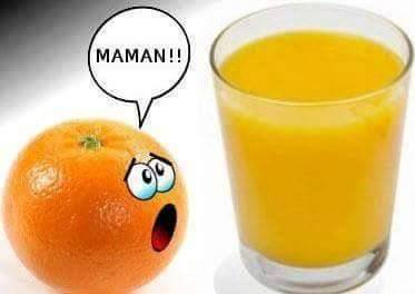 
               Meilleures images drôles  TROP TARD 
              