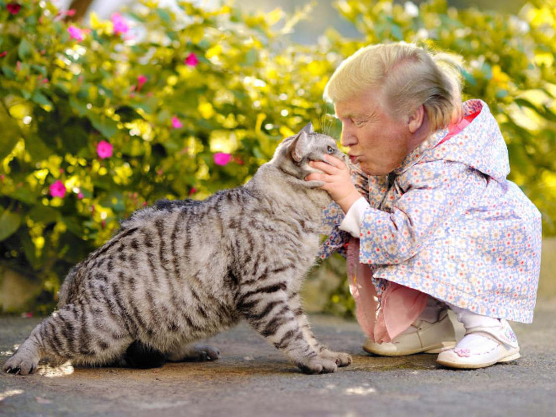 
               Meilleures images droles  c'est une trumperie 
              
