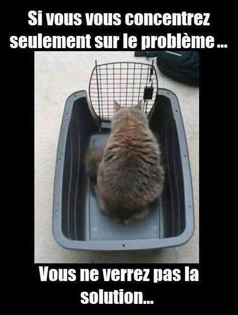  Image curieuse  tout problème a sa solution , photo blague
              