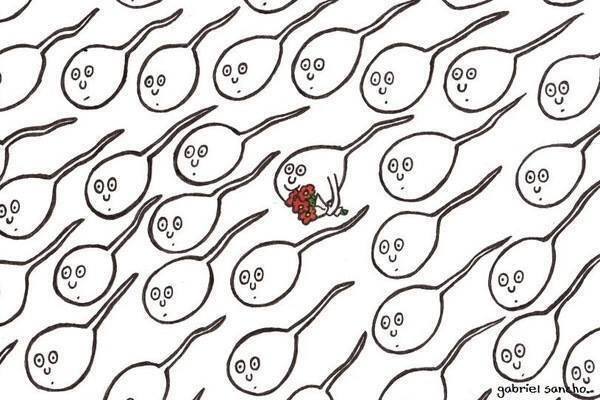 
               Meilleures image drole  dites le avec des fleurs 
              