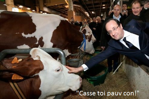 
               Meilleures images drôles  Voeux 2015, mécontentement ! 
              