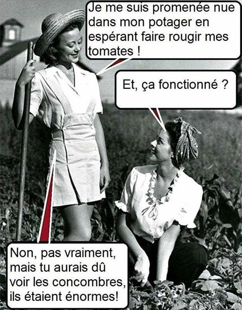 
               Meilleures images drôles  les joies du jardinage 
              