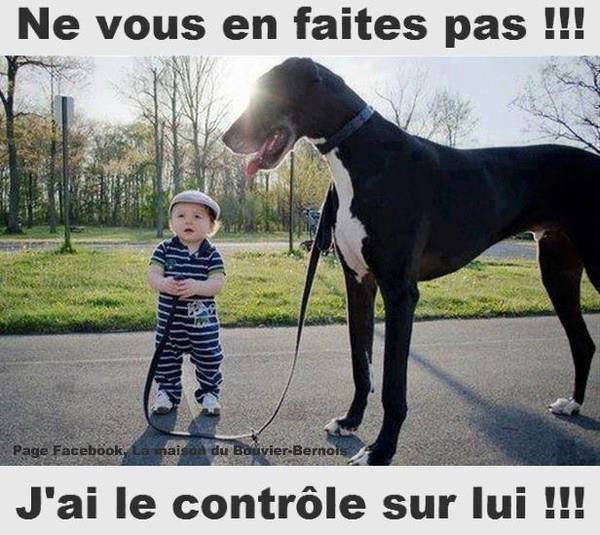 
               Meilleures image drole  Le Maître &amp; le décimètre 
              