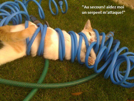 
               Meilleures images droles  Surtout bouge pas! 
              