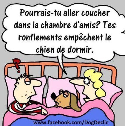 
               Meilleures image drole  Ronflement 
              