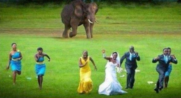  Image tordante  Mariage , photo blague
              