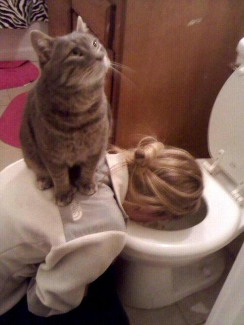 
               Meilleures images droles  bien appuyer où ca fait mal 
              