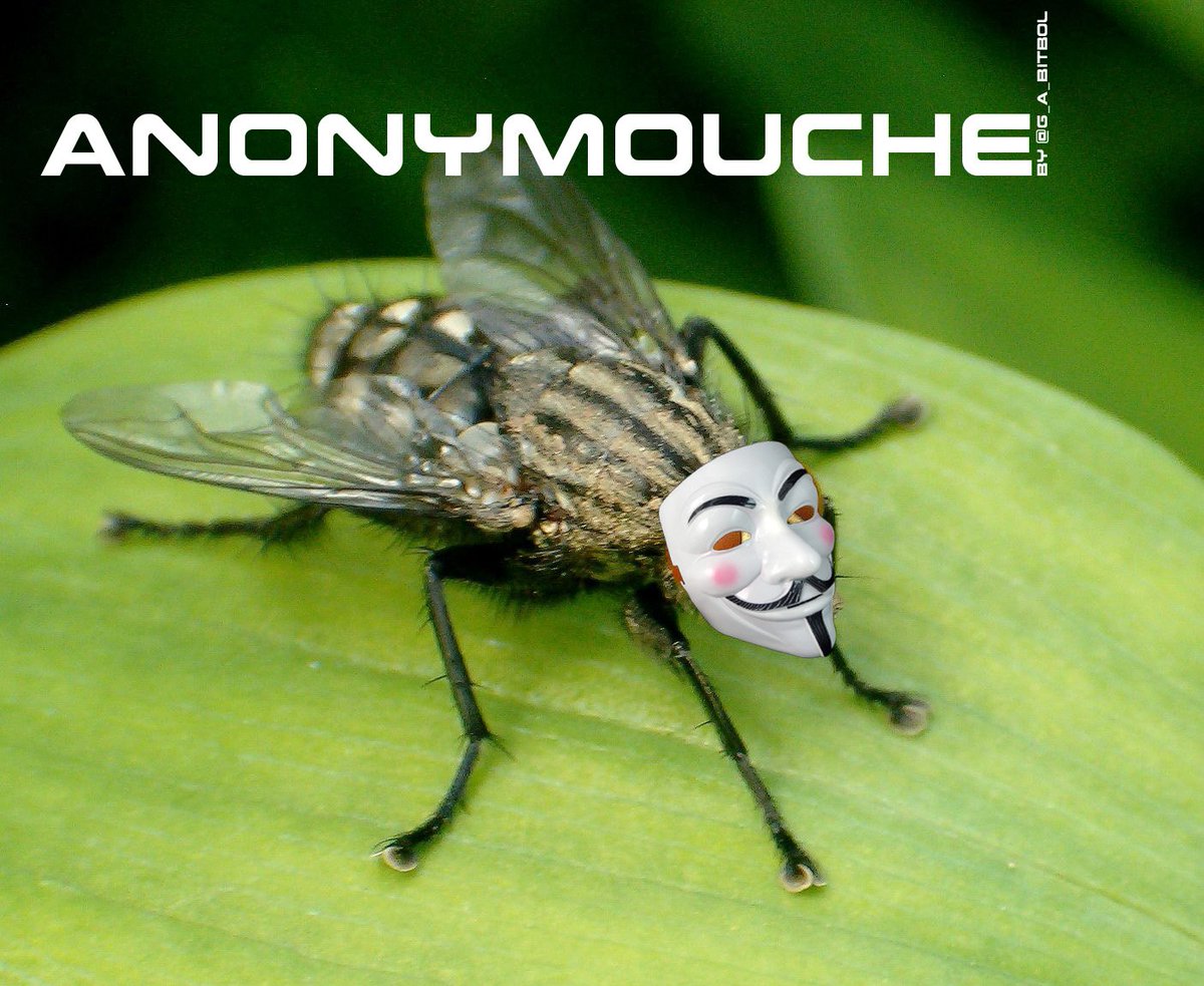 
               Meilleure image drole  Toujours discrète, mais nous l'avons retrouvé 
              