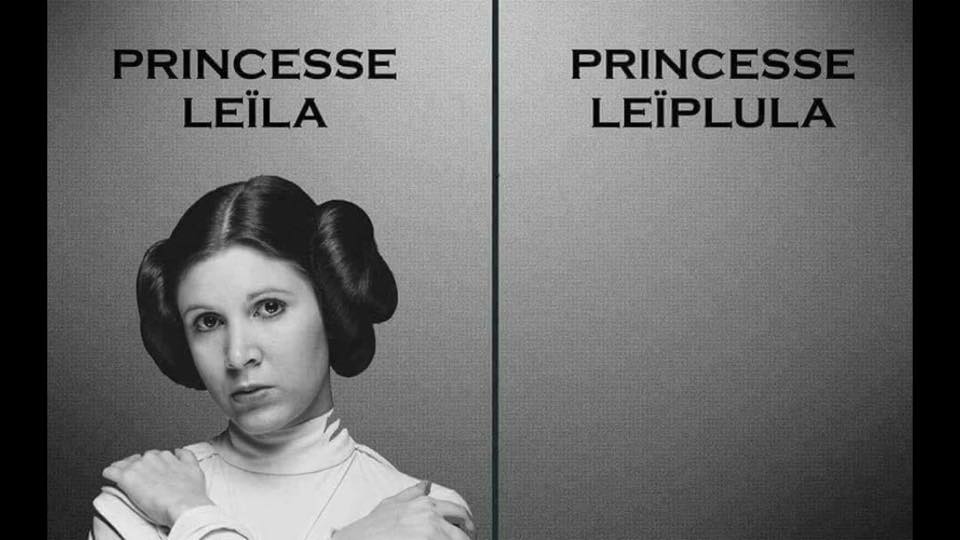  Image hilarante  princesse ........... , photo blague
              