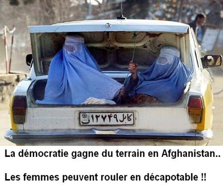 
               Meilleures images droles  Enfin ! 
              