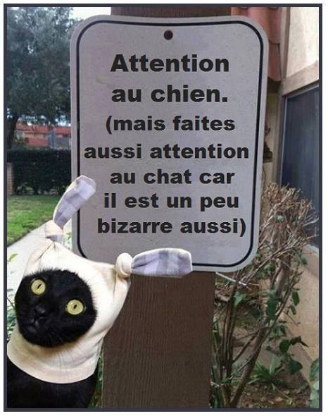 
               Meilleures image drole  ATTENTION 
              