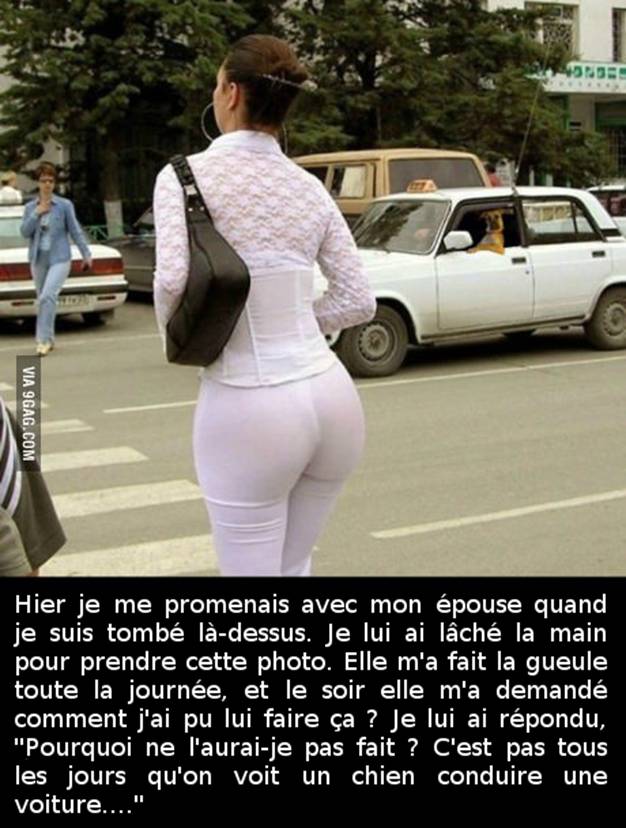 
               Meilleures image drole  Grande jalouse 
              