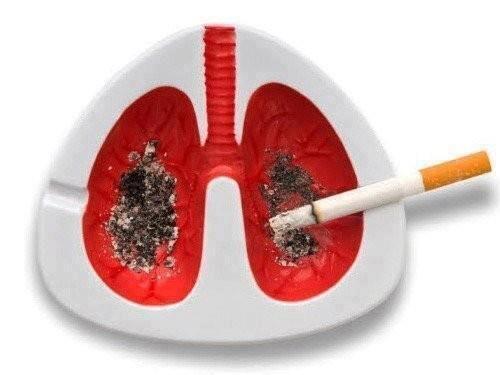 Image rigolote  Cendrier anti-tabac , photo blague
              