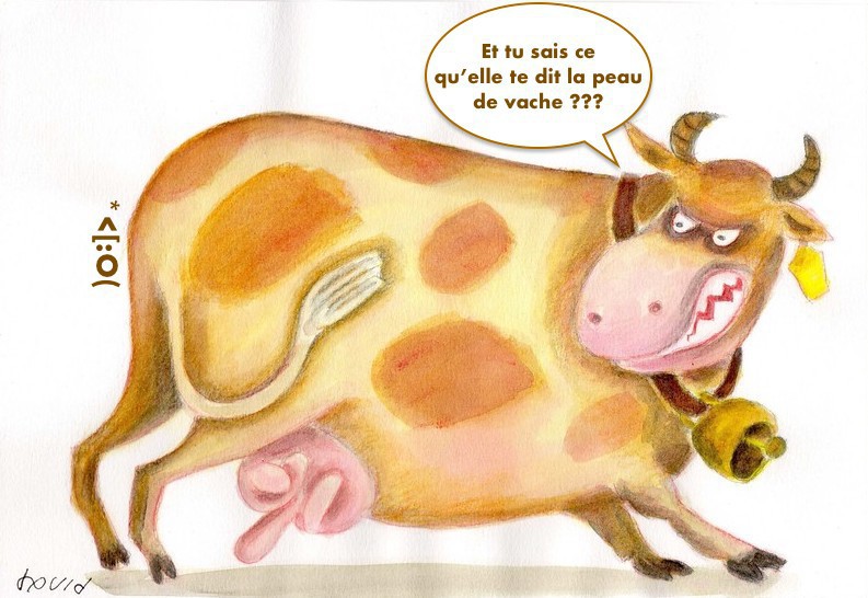 
               Meilleures image drole  Depuis longtemps qu'elle le ruminait... 
              