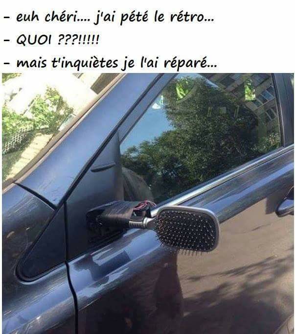 
               Meilleures images droles  Pa bête, fallait y penser 
              