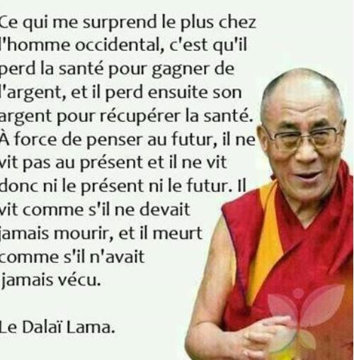 
               Meilleures images drôles  T'as tout bon 
              