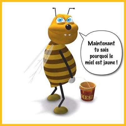 
               Meilleure image drole  Le miel c'est bon pour la santé ! 
              