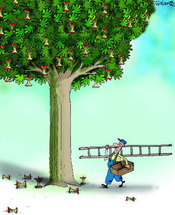 
               Meilleures image drole  La saison des pommes se termine 
              