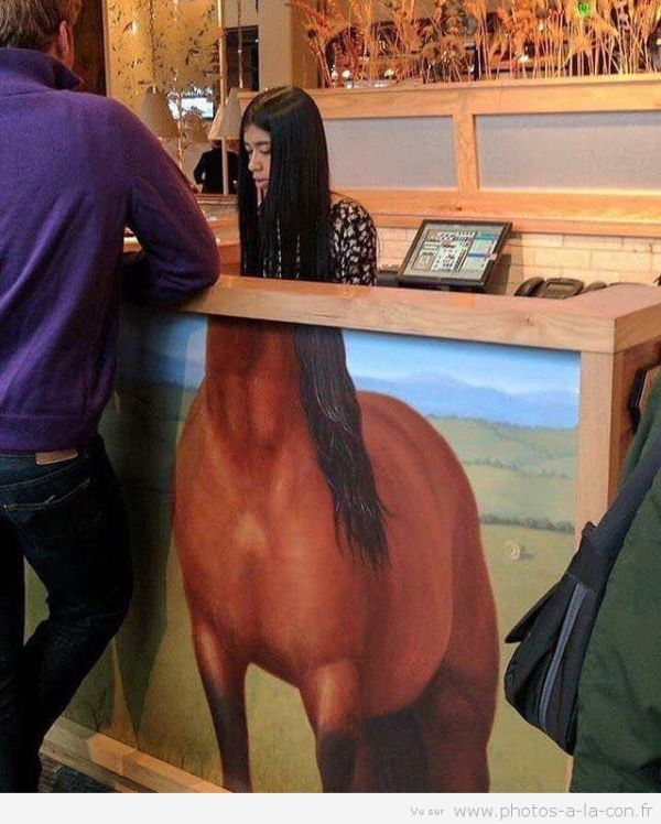 
               Meilleures image drole  préparation pour le tiercé 
              