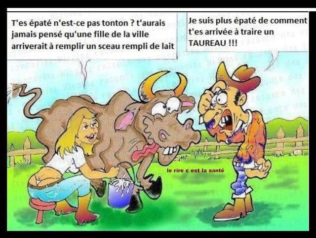 
               Meilleures images droles  encore une blonde? 
              